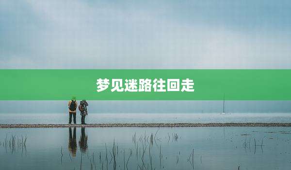 梦见迷路往回走