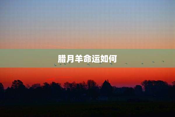 腊月羊命运如何