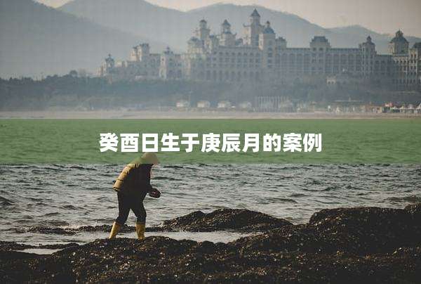 癸酉日生于庚辰月的案例