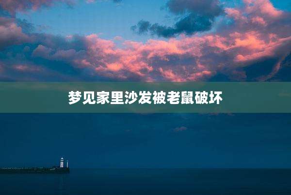 梦见家里沙发被老鼠破坏