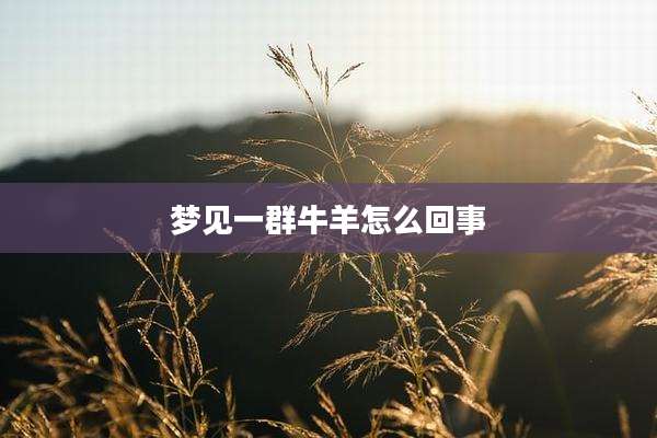 梦见一群牛羊怎么回事