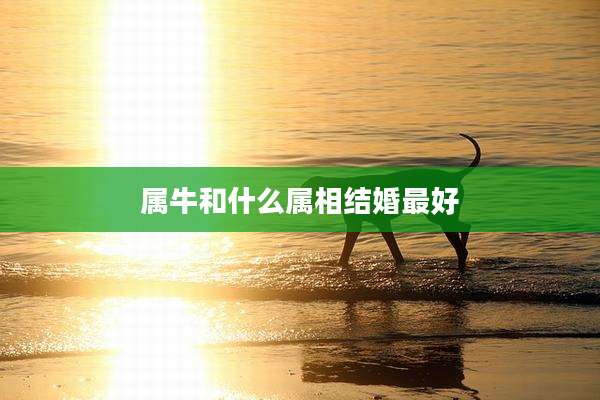 属牛和什么属相结婚最好