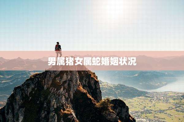 男属猪女属蛇婚姻状况