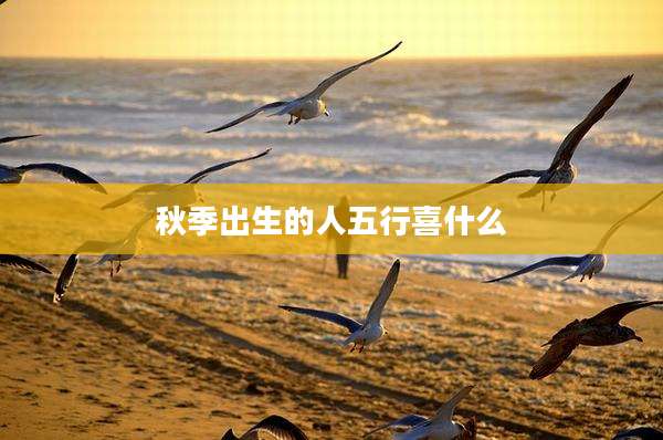 秋季出生的人五行喜什么