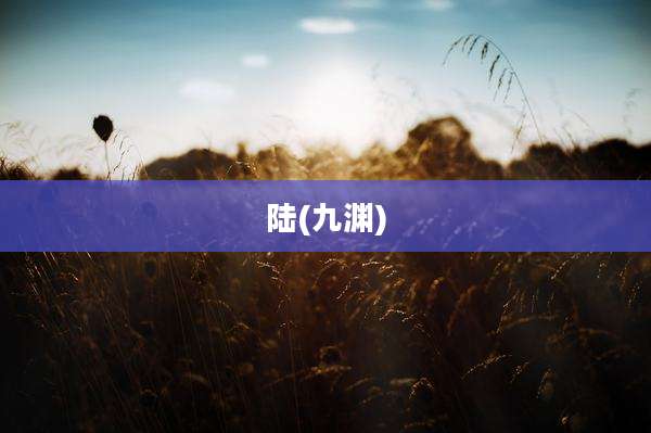 陆(九渊)