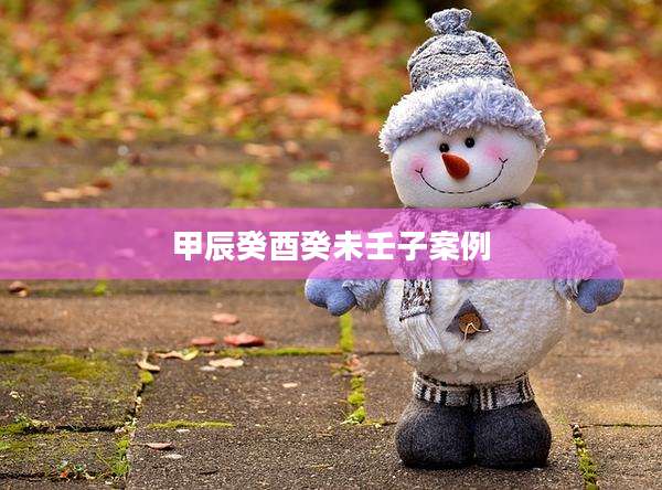 甲辰癸酉癸未壬子案例