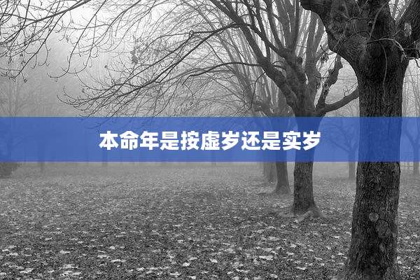 本命年是按虚岁还是实岁