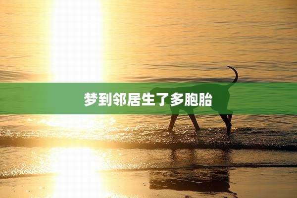 梦到邻居生了多胞胎