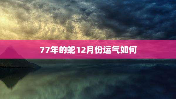 77年的蛇12月份运气如何