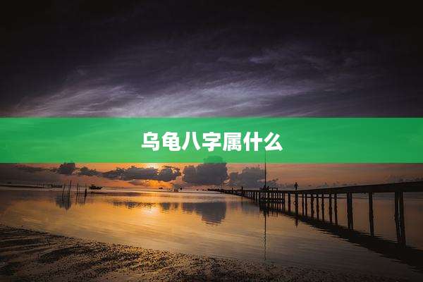 乌龟八字属什么