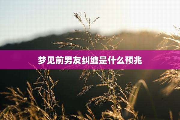 梦见前男友纠缠是什么预兆