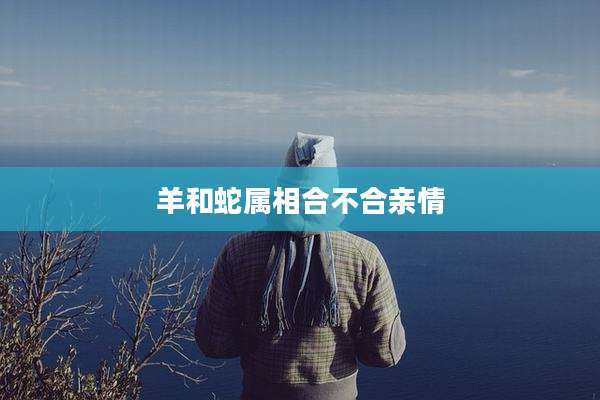 羊和蛇属相合不合亲情