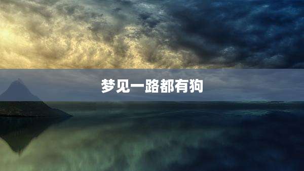 梦见一路都有狗
