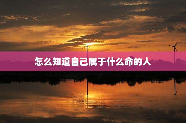 怎么知道自己属于什么命的人