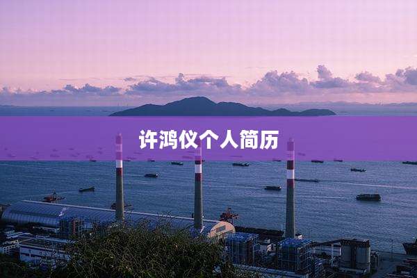 许鸿仪个人简历