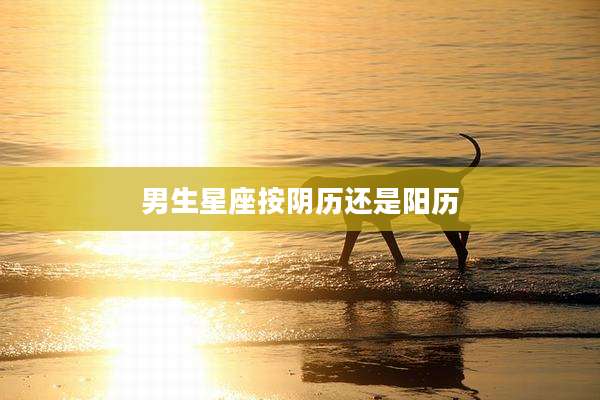 男生星座按阴历还是阳历
