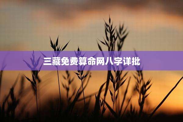 三藏免费算命网八字详批