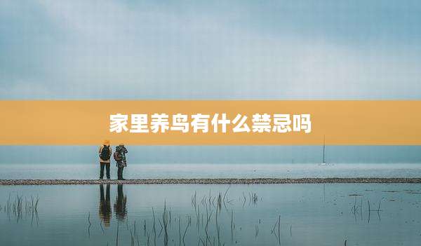 家里养鸟有什么禁忌吗