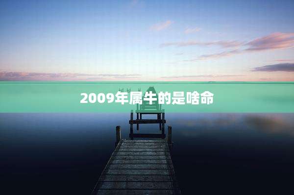 2009年属牛的是啥命