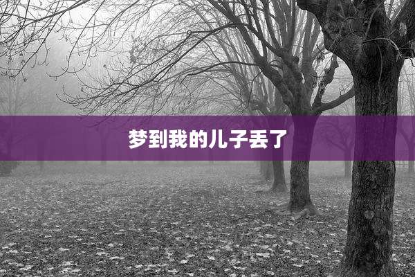 梦到我的儿子丢了