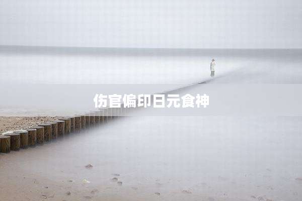伤官偏印日元食神