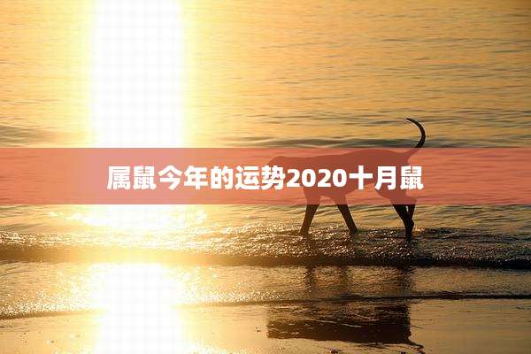 属鼠今年的运势2020十月鼠
