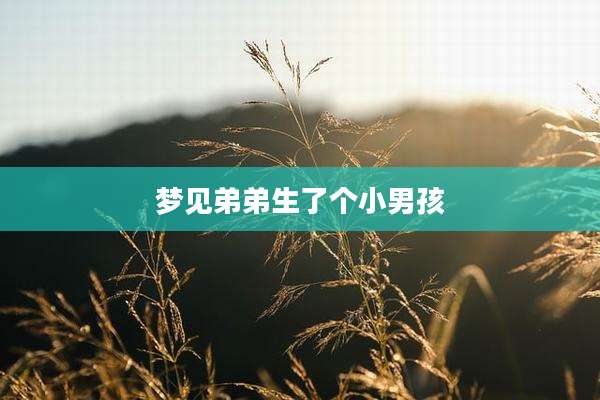 梦见弟弟生了个小男孩