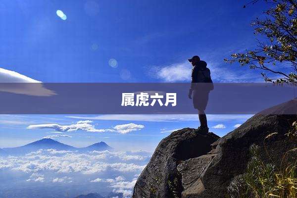 属虎六月