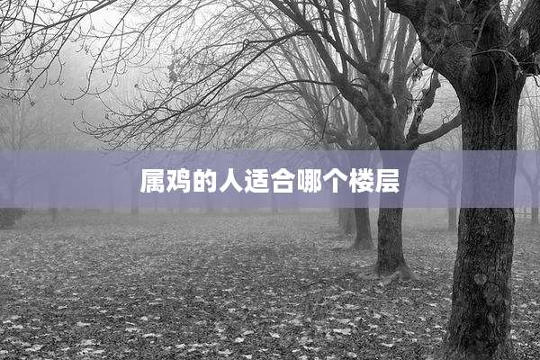 属鸡的人适合哪个楼层