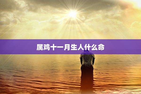 属鸡十一月生人什么命