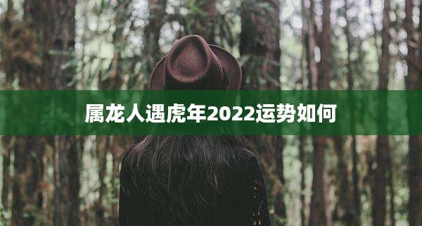 属龙人遇虎年2022运势如何
