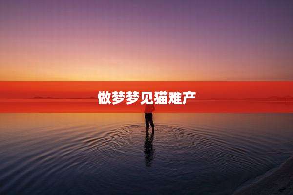 做梦梦见猫难产
