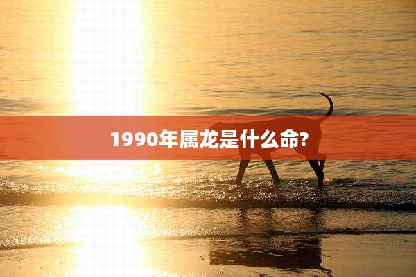 1990年属龙是什么命?