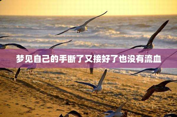 梦见自己的手断了又接好了也没有流血
