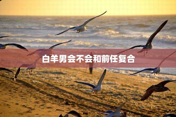 白羊男会不会和前任复合