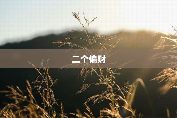 二个偏财