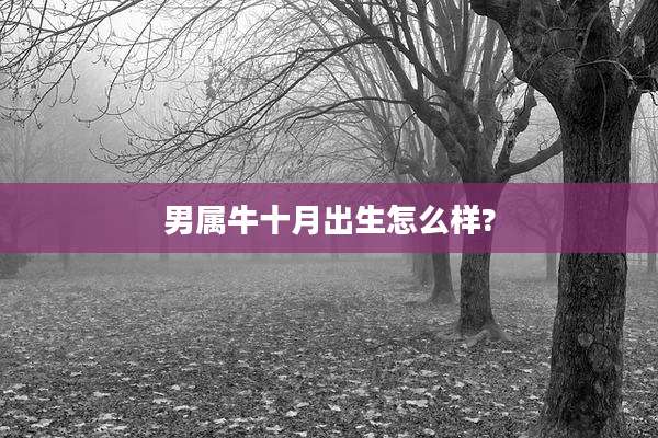 男属牛十月出生怎么样?