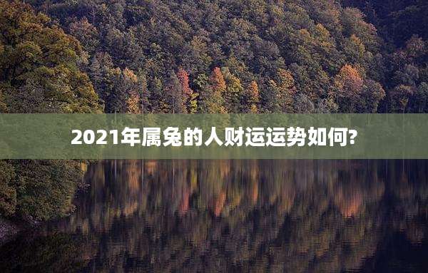 2021年属兔的人财运运势如何?