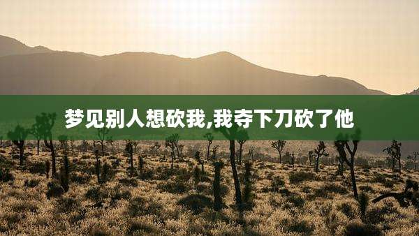 梦见别人想砍我,我夺下刀砍了他