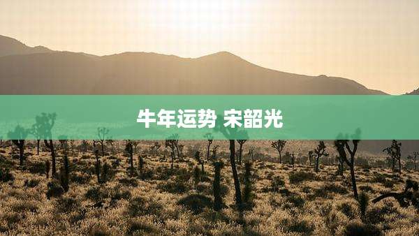 牛年运势 宋韶光