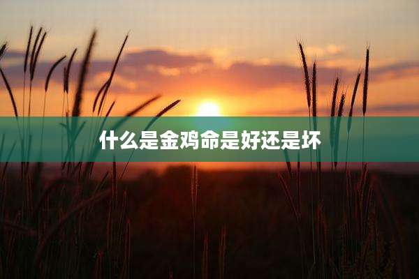 什么是金鸡命是好还是坏