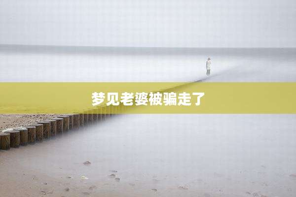 梦见老婆被骗走了