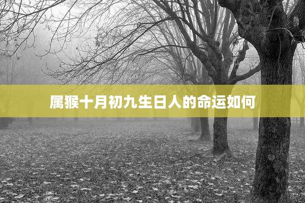属猴十月初九生日人的命运如何