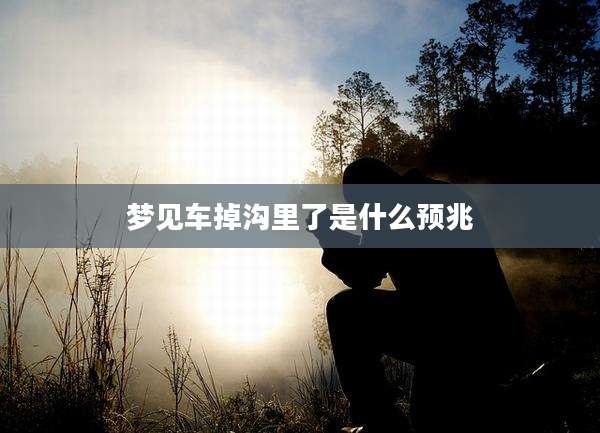 梦见车掉沟里了是什么预兆