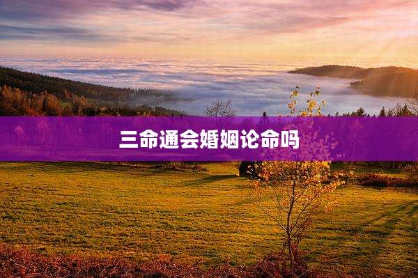 三命通会婚姻论命吗