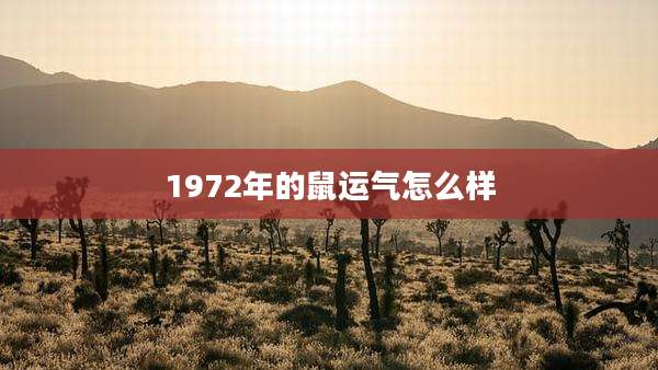 1972年的鼠运气怎么样