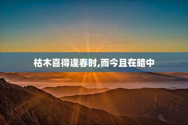 枯木喜得逢春时,而今且在暗中
