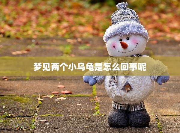 梦见两个小乌龟是怎么回事呢