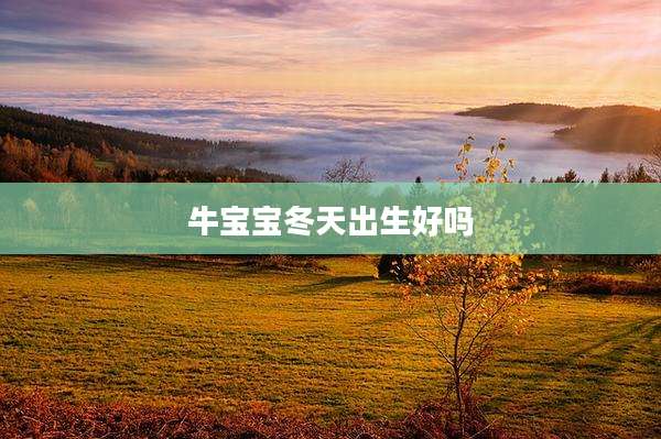 牛宝宝冬天出生好吗