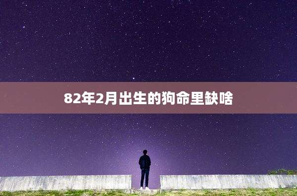 82年2月出生的狗命里缺啥